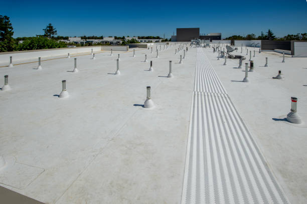 Best Roof Coating and Sealing  in Alburtis, PA